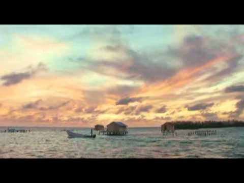 Maciej Stuhr o filmie Alamar