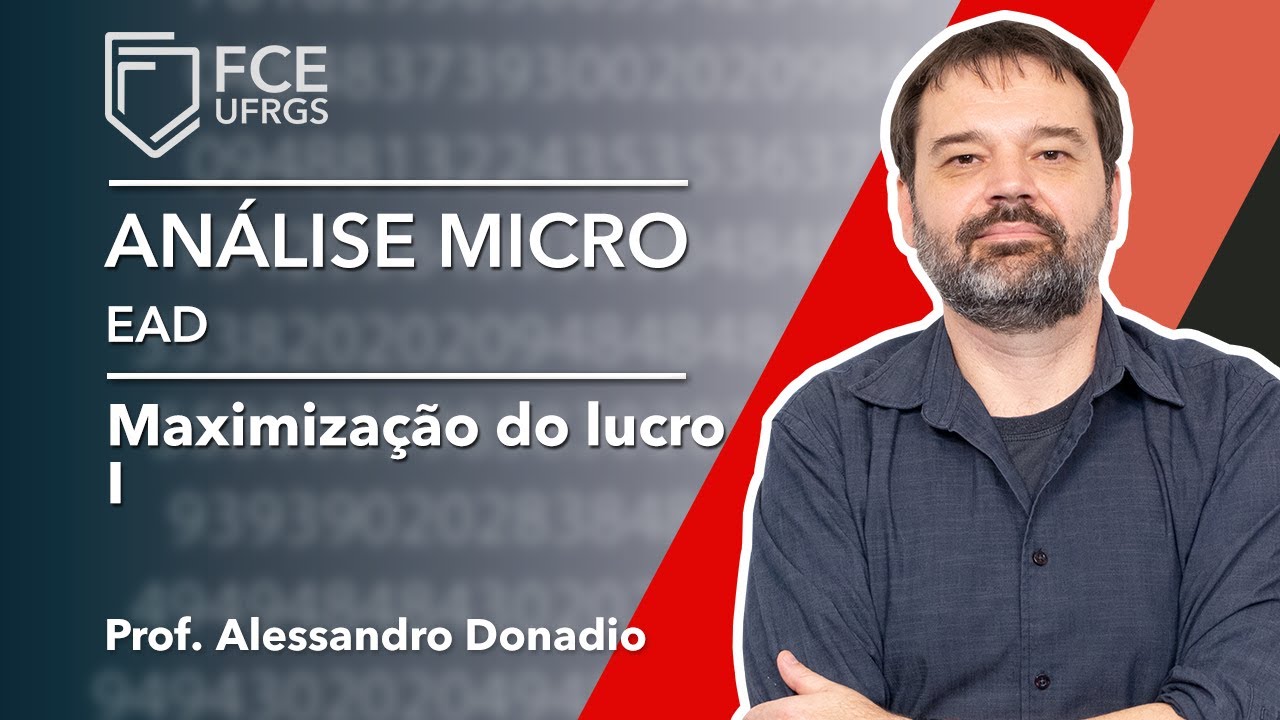 MAXIMIZAÇÃO DE LUCROS I