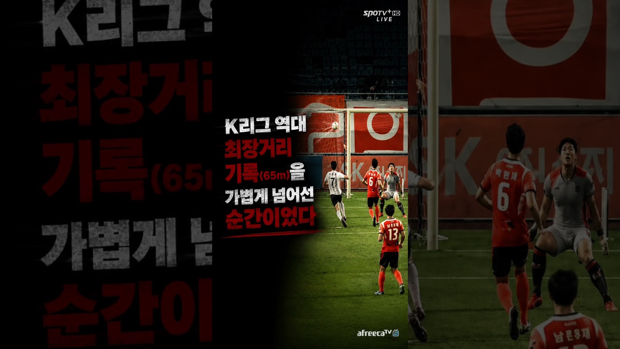 패스하려던 공이 85m 날아가 골이 됐다, K리그 역사상 최장거리 골 ⚽️ #권정혁 #K리그 #축구트리비아 #스포츠