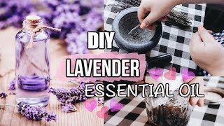 How To Make Lavender Essential Oil