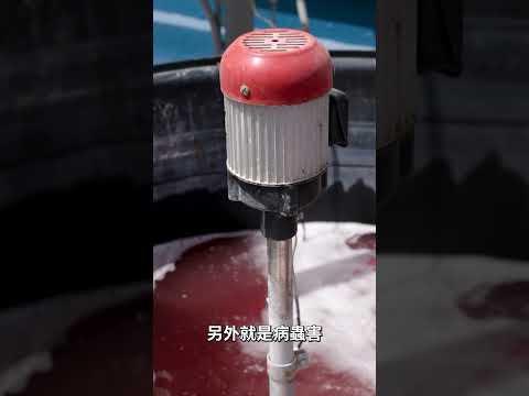 果樹升級進行式-優化產業結構 × 提升農業韌性短影音