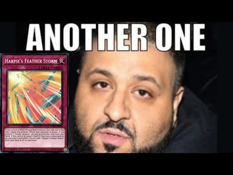 One Floowandereeze Combo From Top 8 YCS Minneapolis Explained Step By Step | Yu-Gi-Oh! 2022