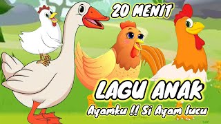 Download lagu Ayam Kok kok kok ❤️ Si Ayam lucu Dan lagu lain nya 20 menit mp3 Download lagu Ayam Kok kok kok ❤️ Si Ayam lucu Dan lagu lain nya 20 menit mp3
