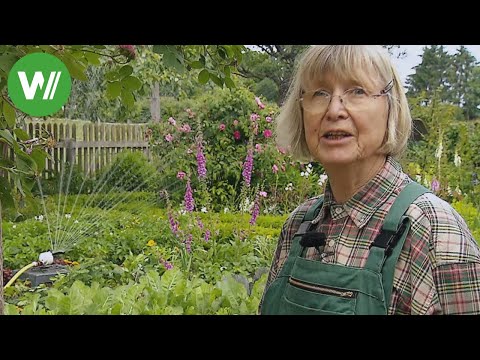 download lagu mp3 mp4 Der Garden, download lagu Der Garden gratis, unduh video klip Der Garden