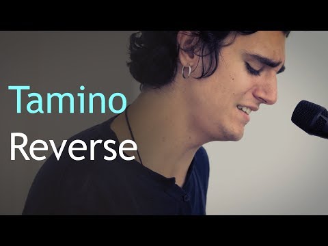 Tamino - Reverse