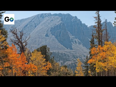 Visit Every Single American National Park!