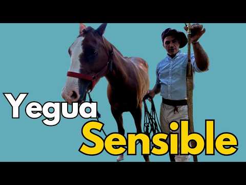 No era agresiva… estaba reaccionando desde el miedo