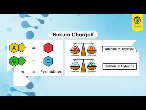 Course Biologi Molekuler Dan Genetika
