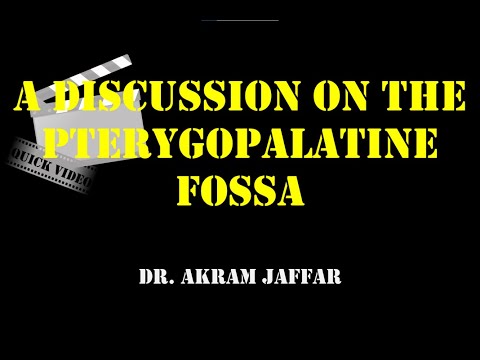 A discussion on the pterygopalatine fossa