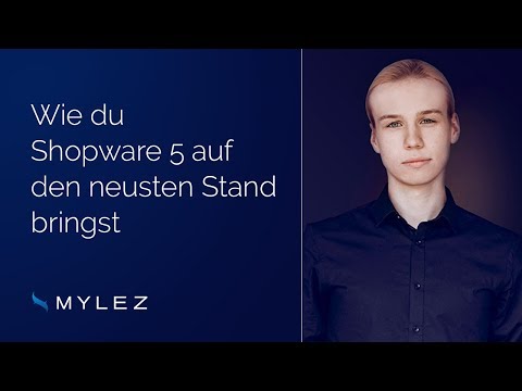 Wie Du Shopware 5 sicher auf eine neue Version updatest