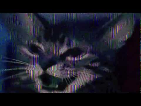 Luci+Emerald Ruin$ - Dutch