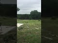 Ruby Playing Fetch