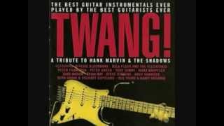 The Savage - STEVE STEVENS - TWANG! A Tribute to Hank Marvin & The Shadows.