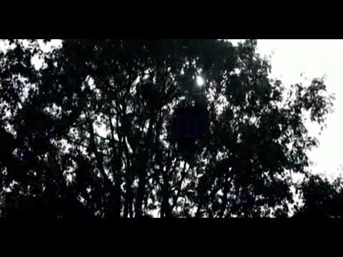 NWD10 - Dust and Bones (Intro)