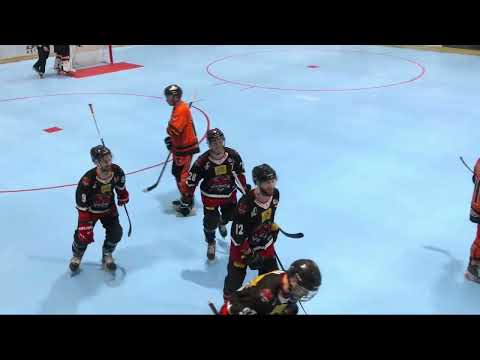 Highlights | ASIAGO VIPERS vs VICENZA HOCKEY 17.01.2026 (5:10)
