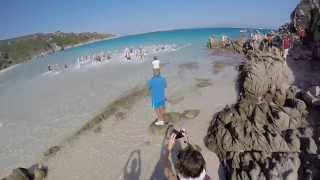 preview picture of video 'TNatura Santa Teresa Gallura 2014'