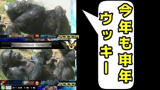 [機動戦士ガンダム エクストリームバーサスフルブースト] 　有名固定よしまが初心者に教えるガンダム