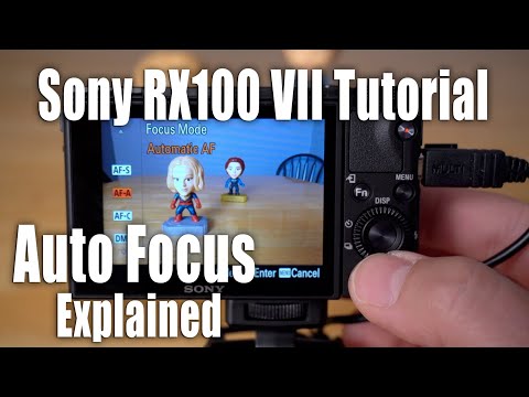 Sony RX100 VII Tutorial - Auto Focus Explained
