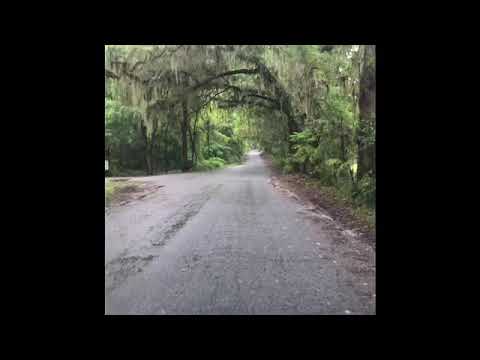 Historic Old Bellamy Road