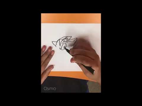 Sonic The Hedgehog And Shadow The Hedgehog Osmo