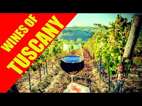 Wines of Tuscany - Live wine tasting by LIBIAMO WINES UK