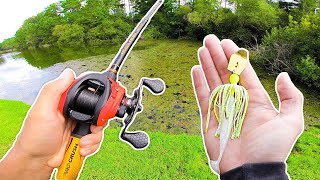 I&#39;ve NEVER Seen This Many Bass in a POND! (Bank Fishing)