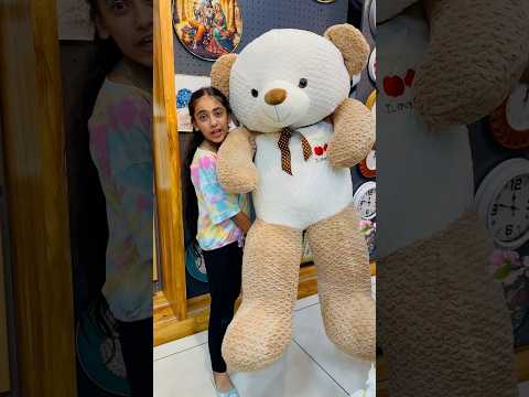 Rishabh ke liye kon sa Teddy Lena chahiye 🤔😂 #shorts #samayranarula #siblings