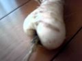 Sexy Hip