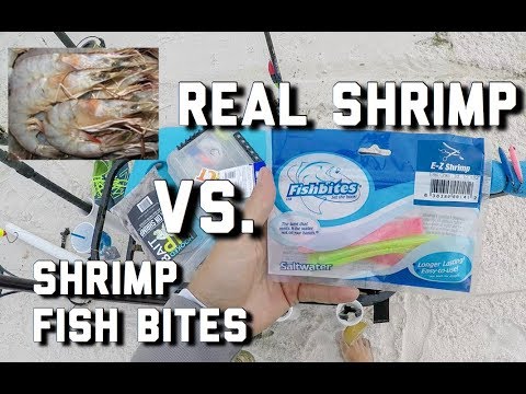 download lagu mp3 mp4 Best Fish Bites, download lagu Best Fish Bites gratis, unduh video klip Best Fish Bites