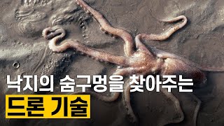 [핫클립] 낙지 구멍인 부럿을 파악하는 드론 기술 / YTN 사이언스