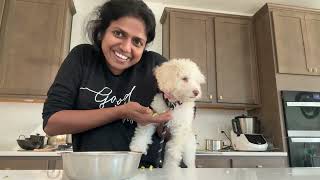 School days காலை முதல் மாலை வரை Family of 5 routine with our Puppy's life ~ Family Traveler VLOGS