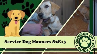 GUGP Season 2 - Week 13 - Puppy Manners