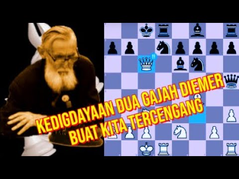 THE POWER OF DIEMER'S TWO ELEPHANTS MAKES US ASTONISHED (Emil Diemer vs Portz, 1948)