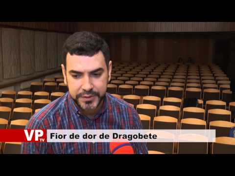 Fior de dor de Dragobete