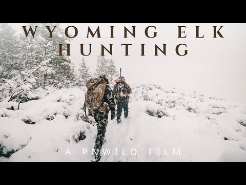Wyoming Rifle Elk Hunting - 2025