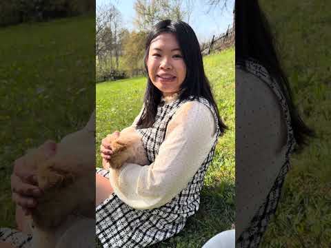 Hristos vaskrse! Srećan Uskrs, dragi naši