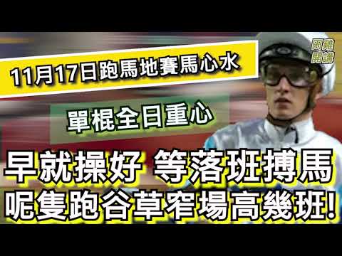 【賽馬貼士】香港賽馬 11月17日 跑馬地馬場 全日單棍重心推介| 早就操好等落班搏馬 呢隻跑谷草窄場高幾班!