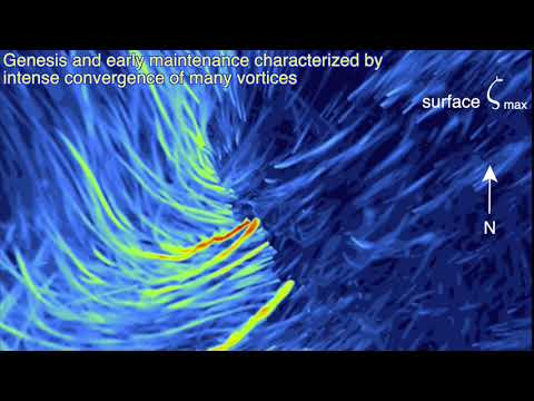 A 10-m resolution quarter trillion gridpoint tornadic supercell simulation