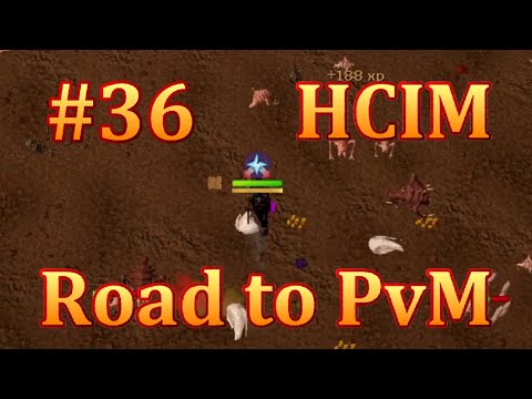 RS3 HCIM Road to PvM #36 - How to Grind Farming