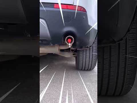 大きなスポーツカー、小さなペニス?研究者が科学的なつながりを発見