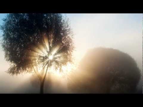 Mincha Moment 15 - The Miracle