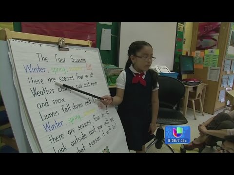 Bilingual students need support in their native language