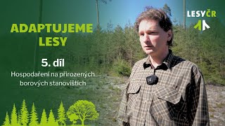 Adaptujeme lesy – 5. díl