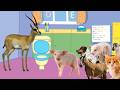 Real Life Peppa Pig Parody Episode 6