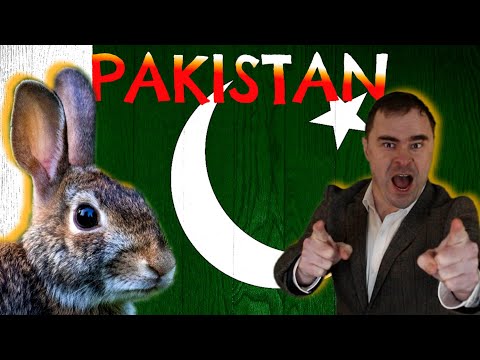 Languages of Pakistan Explained in 1 sentence 'ish'