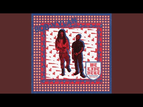 I Heard You Want Your Country Back