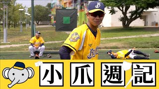 [閒聊] 爪二本週優秀選手