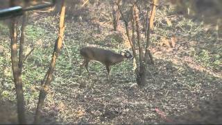 Nufletch Video for Nufletch.com