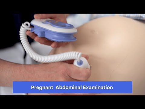 Pregnant Abdomen Examination