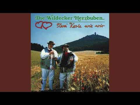 Am Berg Wo Die Tannen Stehn - Wildecker Herzbuben